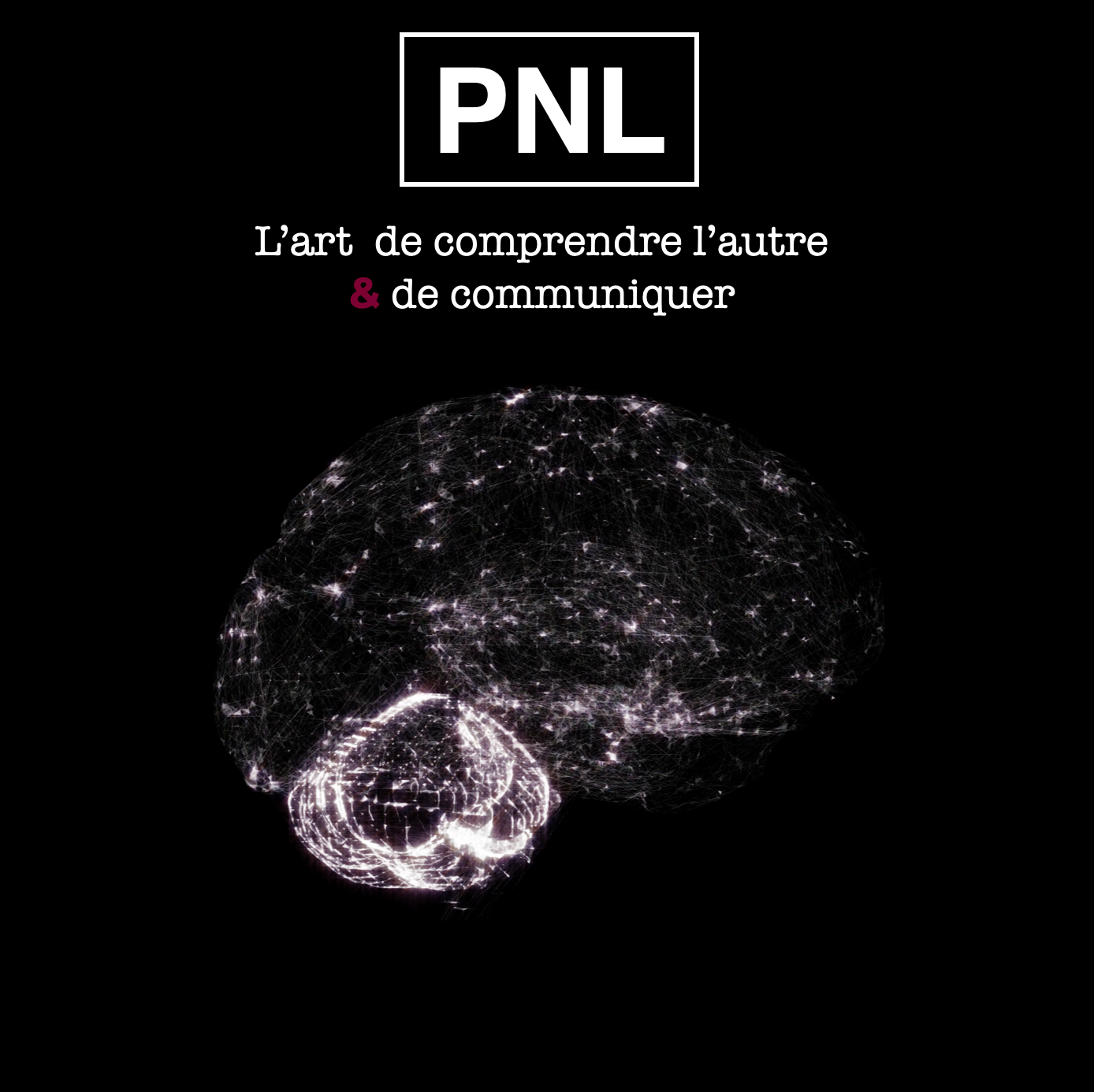 Techniques PNL pour comprendre l’autre et améliorer la communication en entreprise